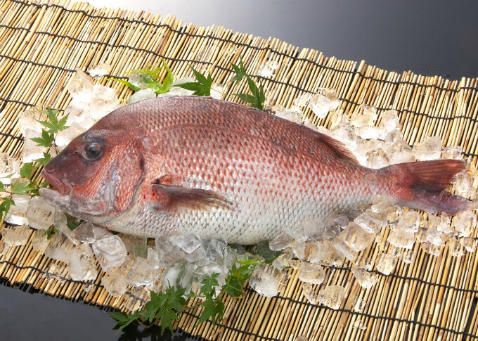季節の魚介類 お肉 野菜 魚介類の通販 Reiwa行商